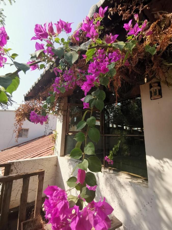 Dear B&B Tainan Eksteriør bilde